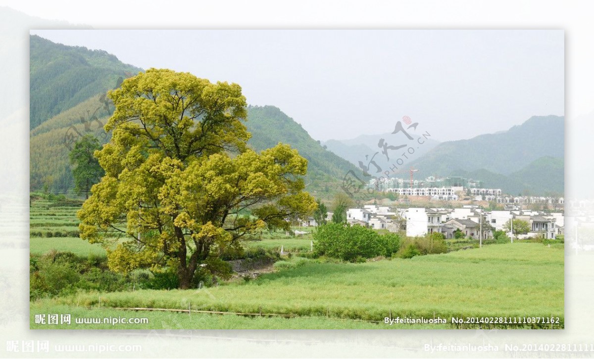 山村风景图片