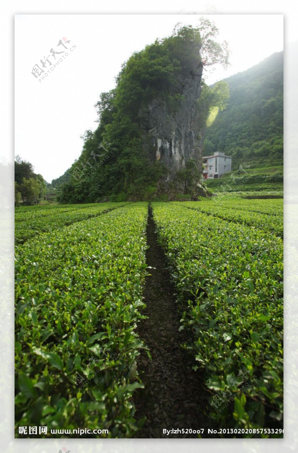 洗草坝风光图片