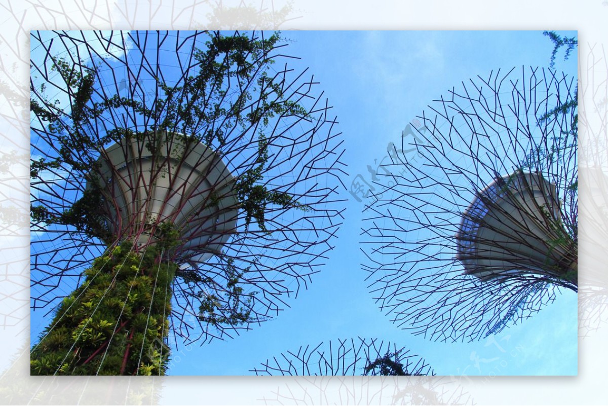 新加坡滨海南花园图片