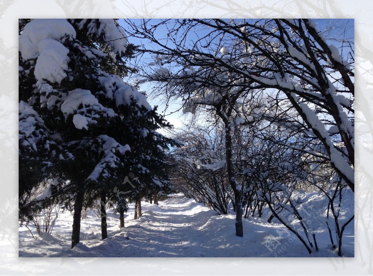 冰雪图片