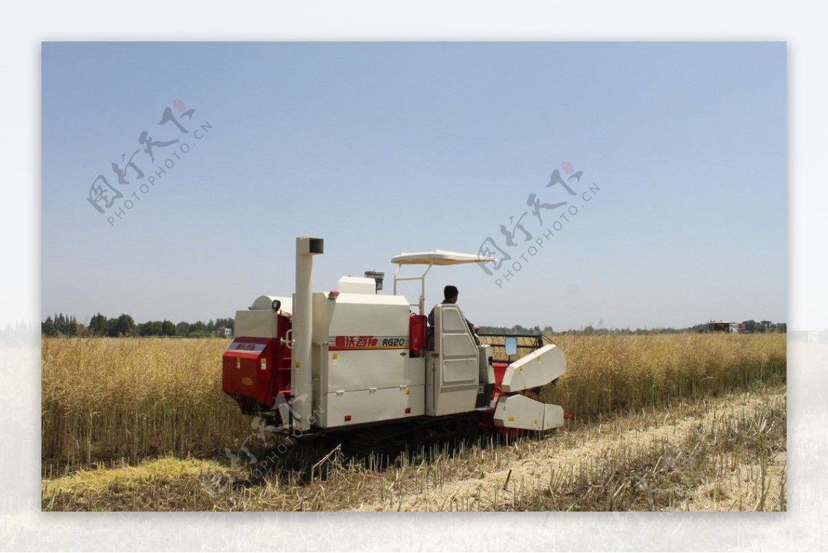 高效履带式苞米收割机 苜蓿草秸秆青贮机-智能制造网