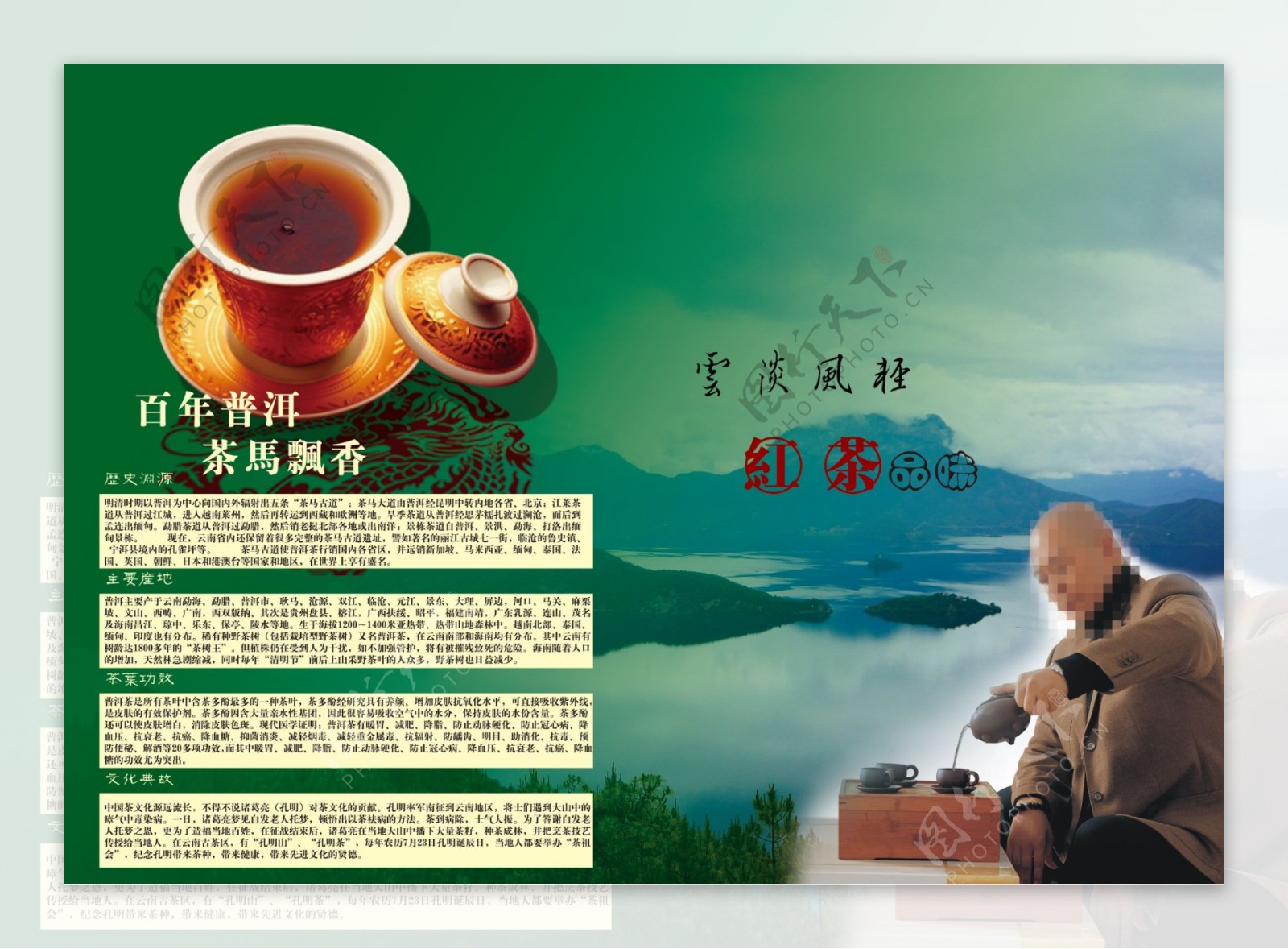 普洱茶宣传册图片