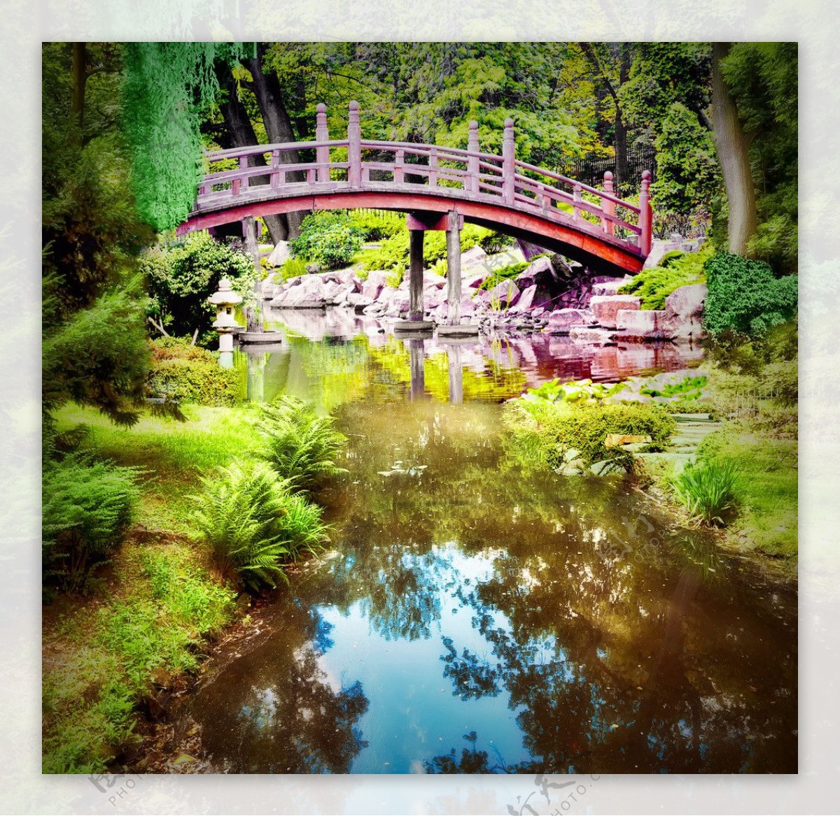 公园秋景小桥图片