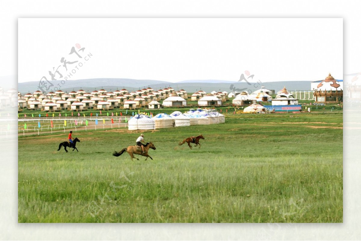 蒙古草原赛马图片