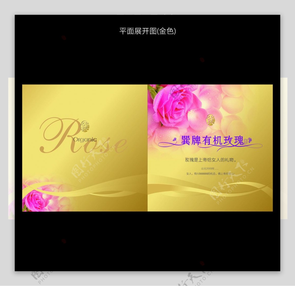 有机玫瑰画册封面设计图片