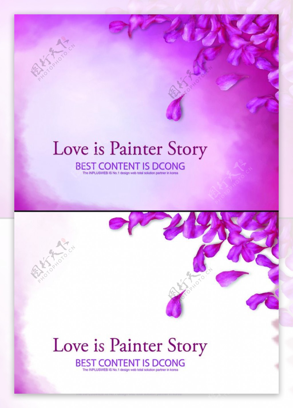 紫色花瓣图片