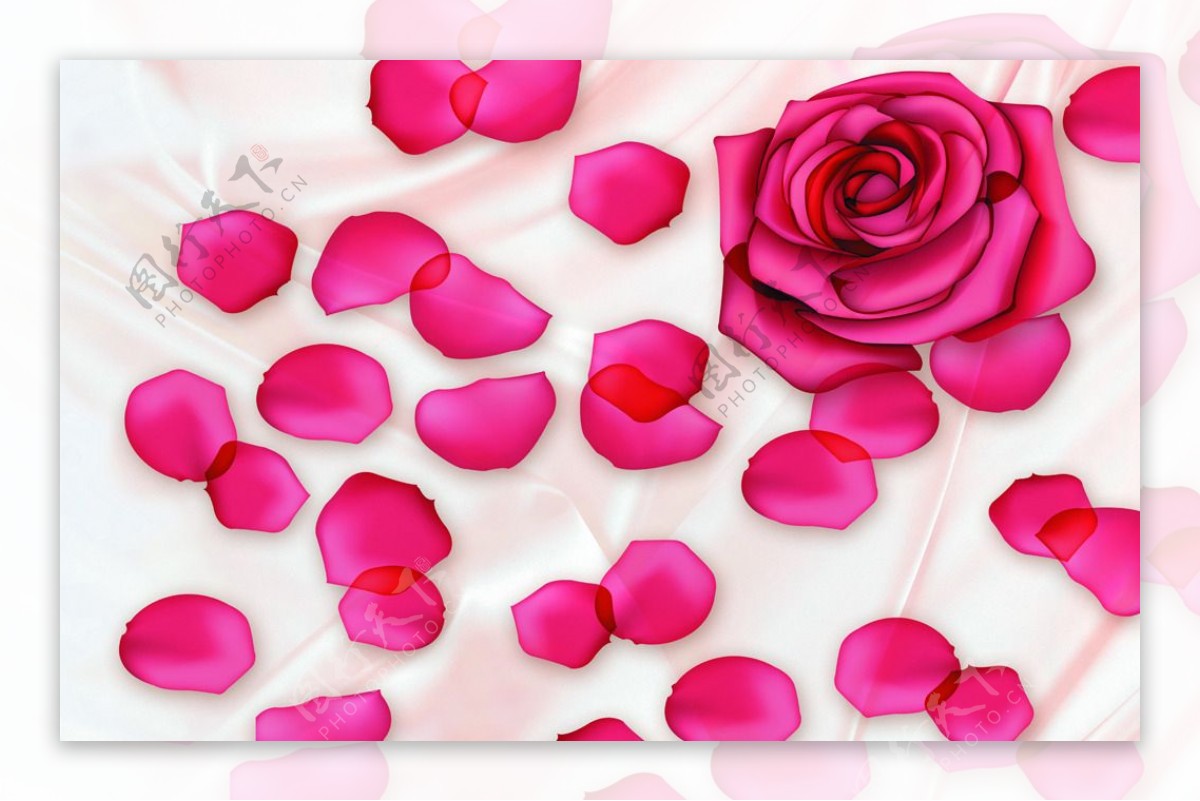浪漫丝绸玫瑰图图片