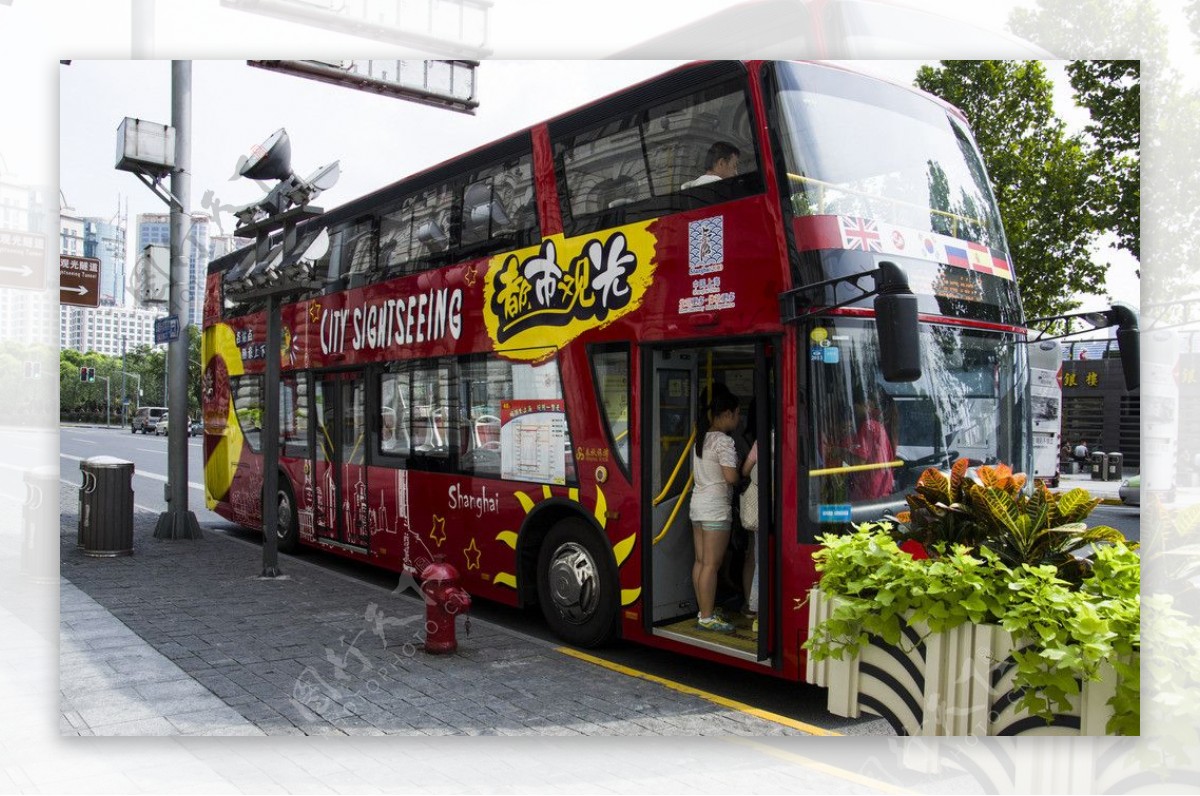 上海观光巴士图片