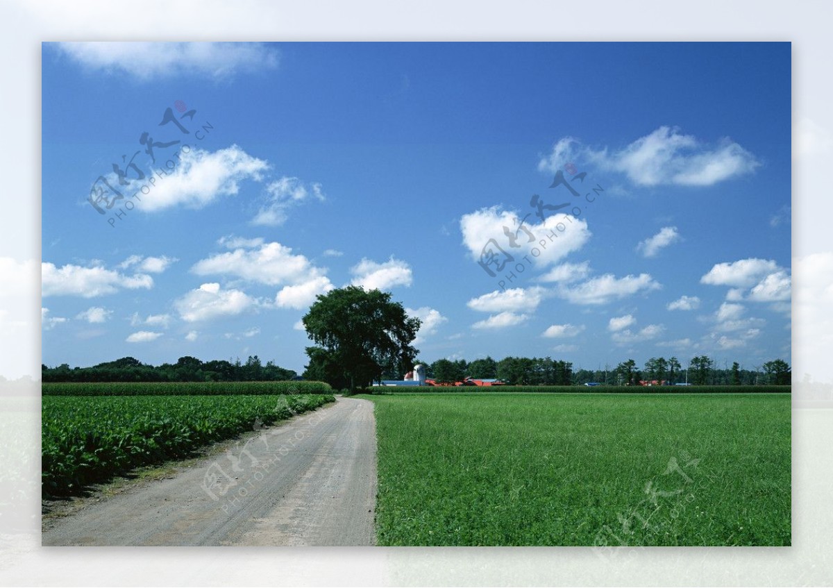 草原小路图片