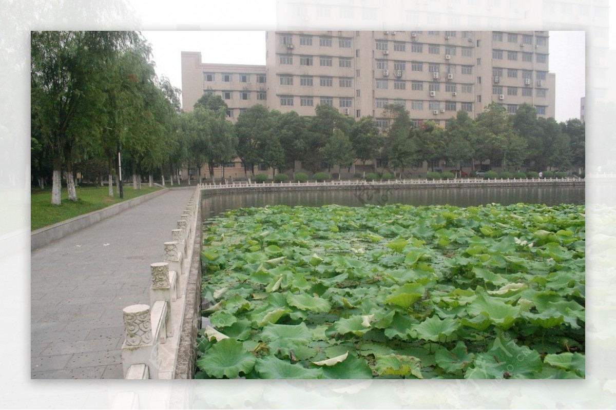 长江大学西校区图片