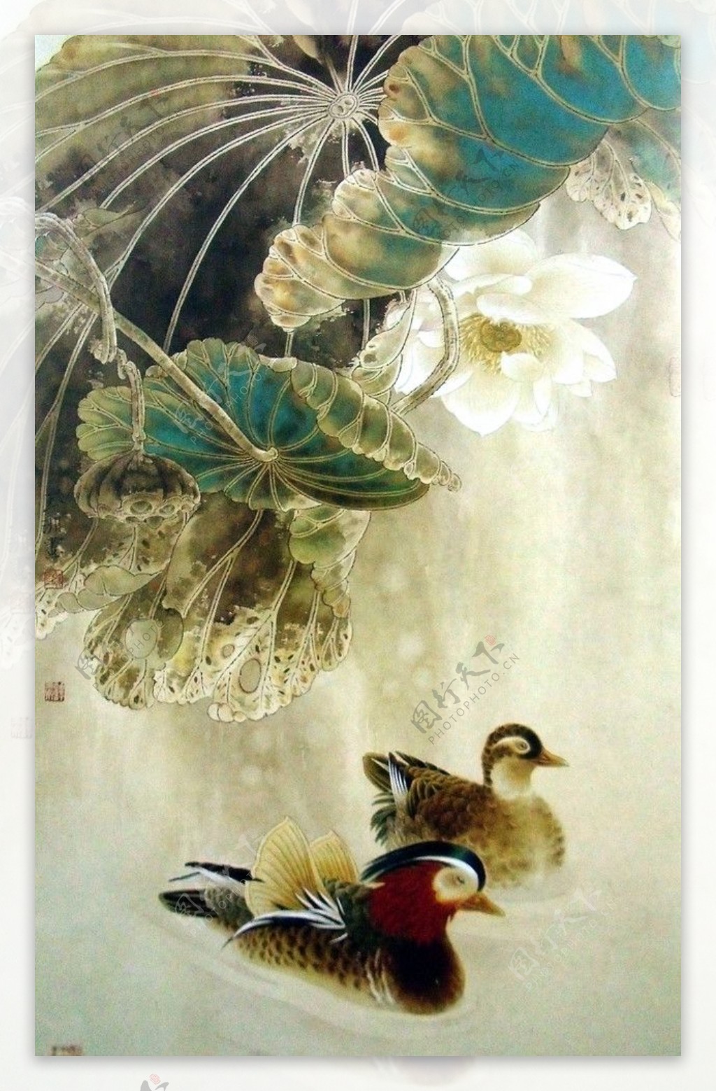春天绿色荷叶鸭子在雨水中游泳插画图片-千库网