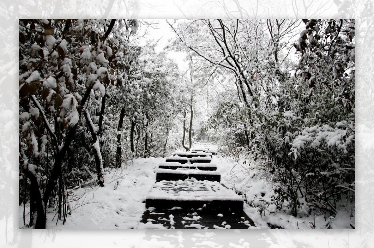 雪景图片