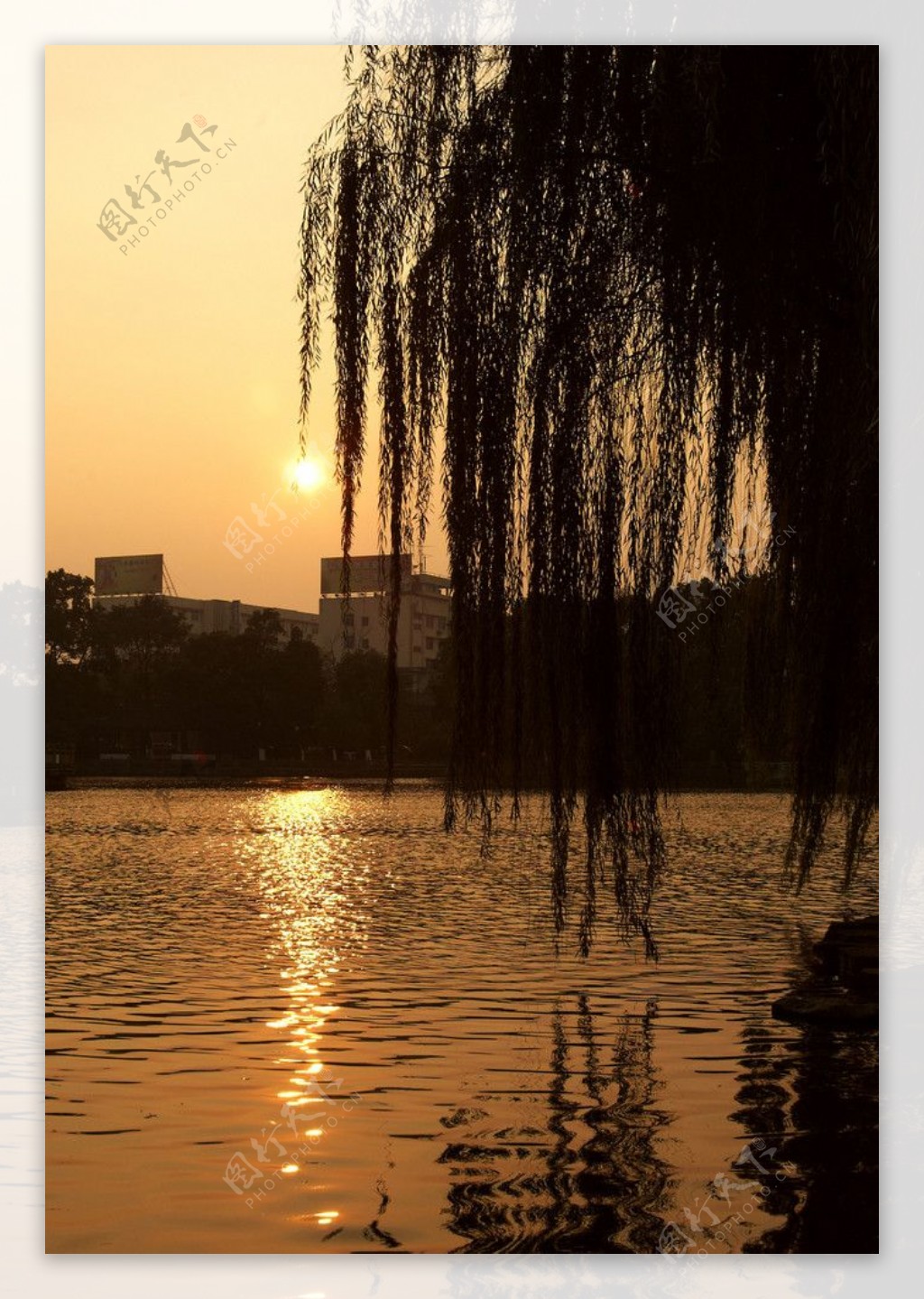 宁波月湖夕阳图片