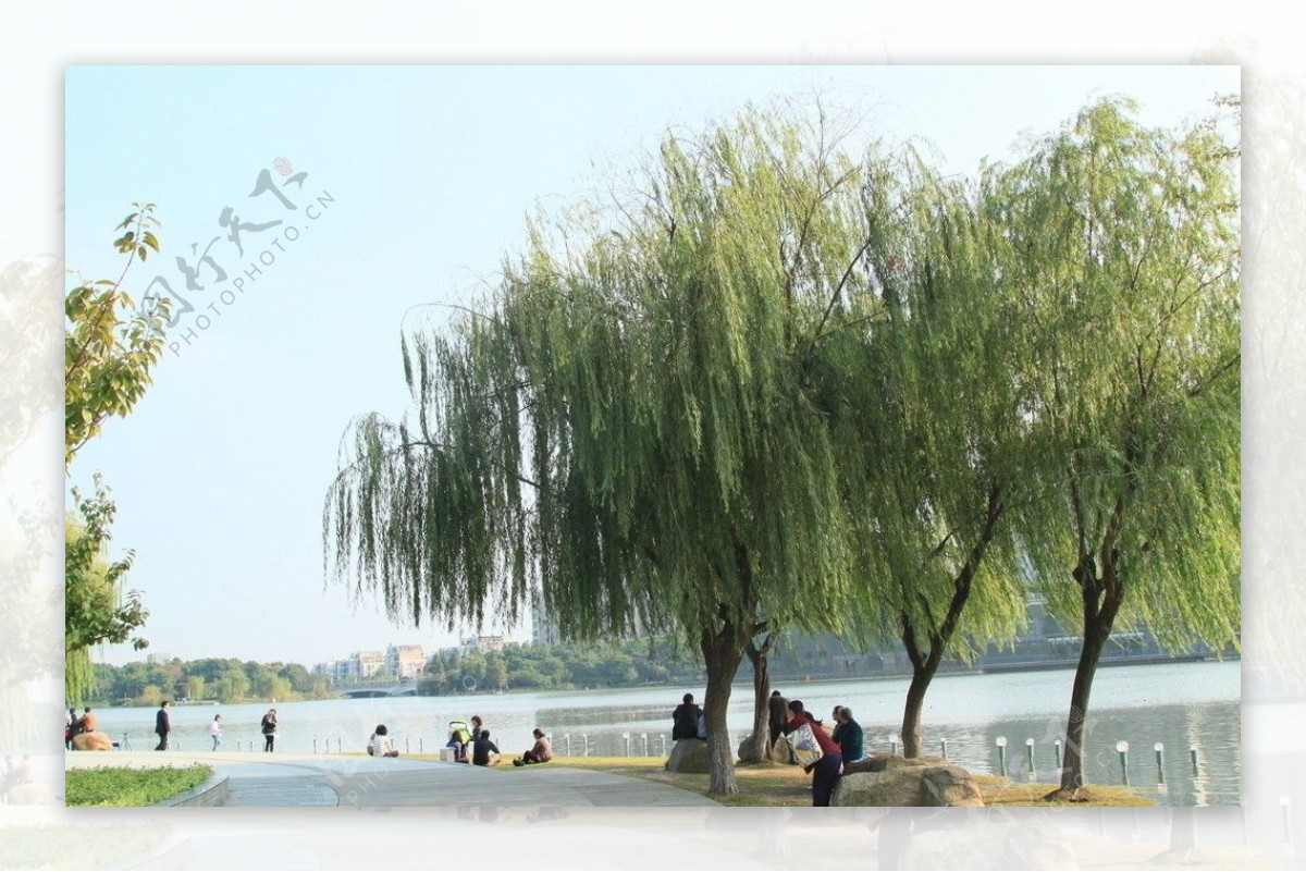 夏阳湖图片