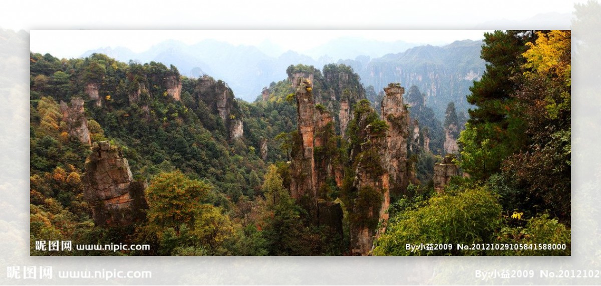 天子山秋色图片