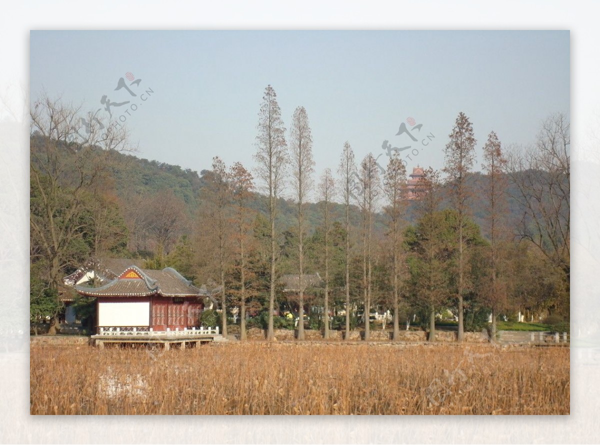 东湖磨山图片