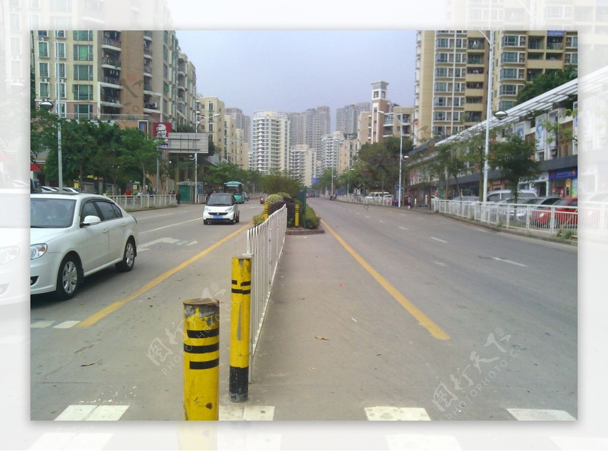 城市街道公路马图片