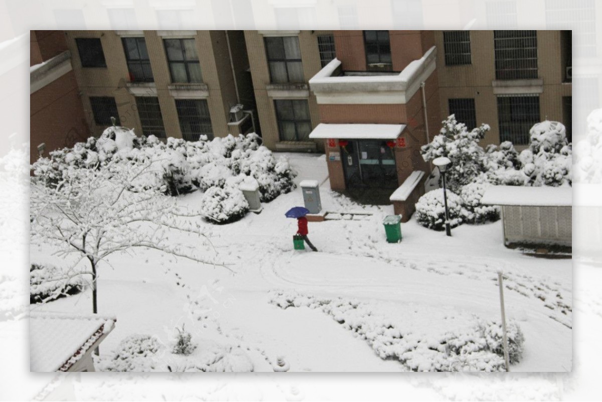2013年雪景图片