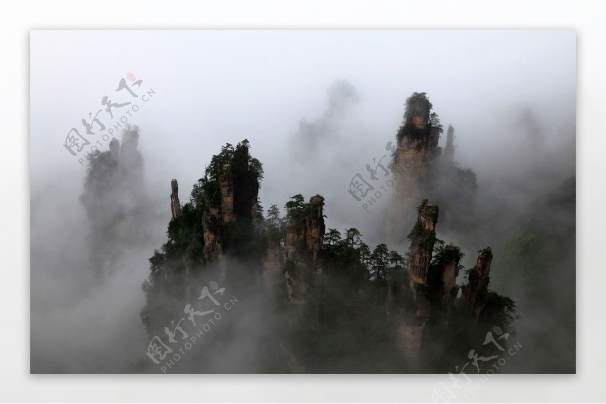 烟雨天子山图片