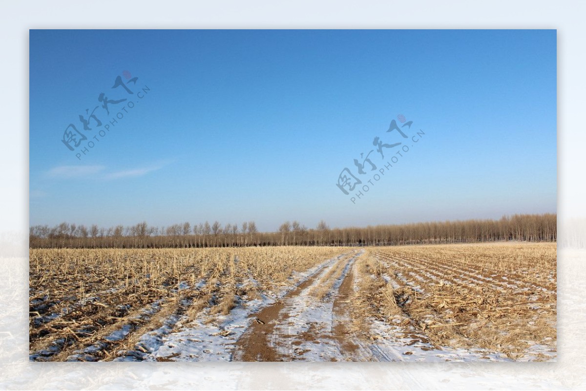 北方冬天的田野图片