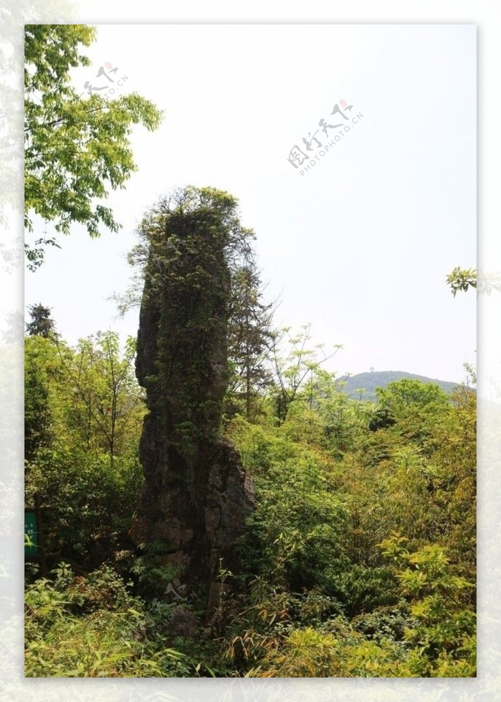 华蓥石林图片