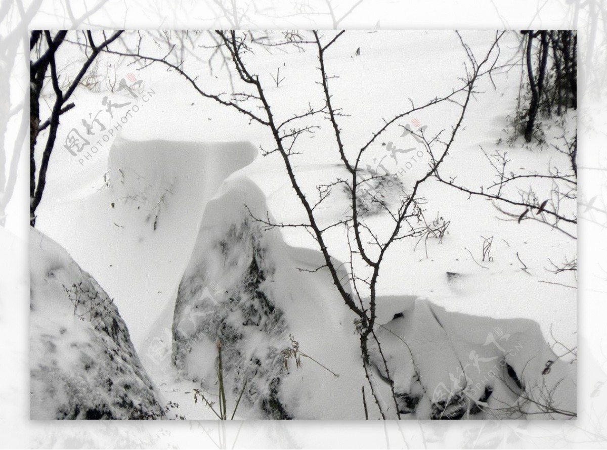 冬日白雪图片