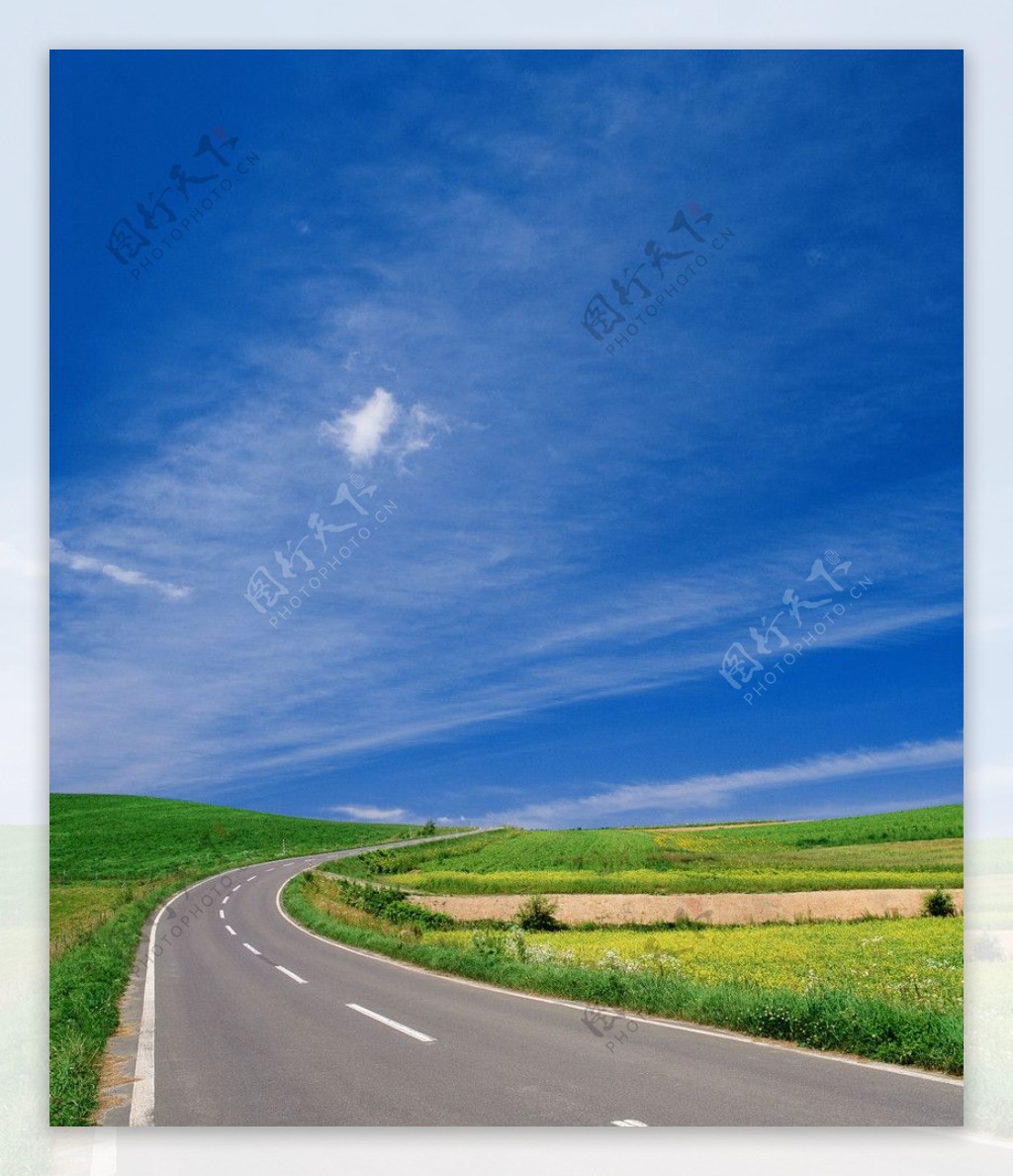 蓝天白云绿野田野公路图片