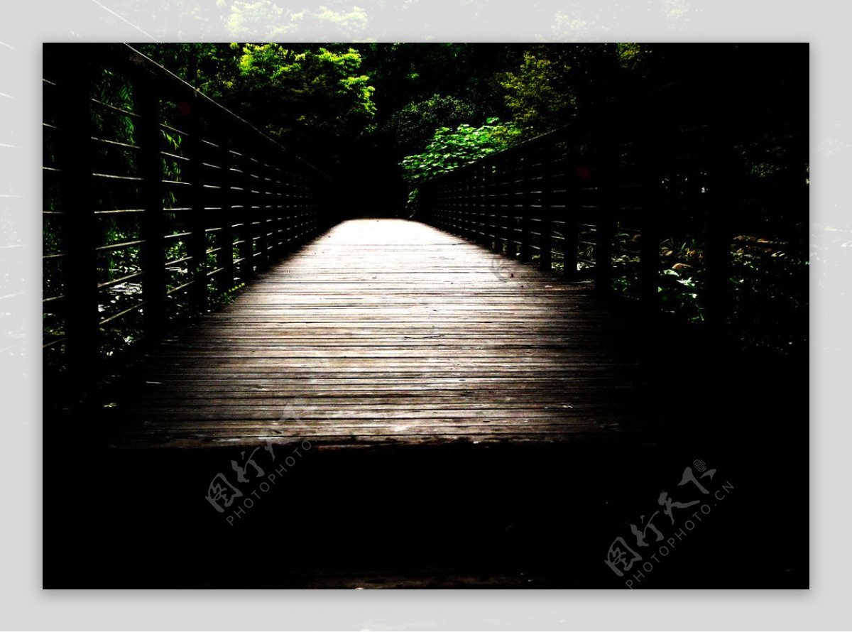 阴深的小木桥图片
