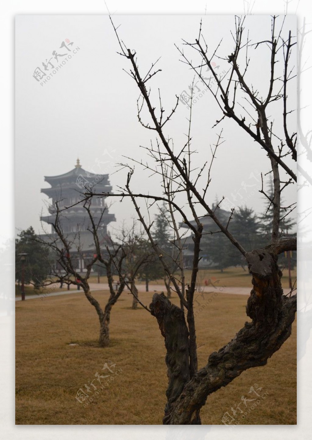 仕女馆远景图片