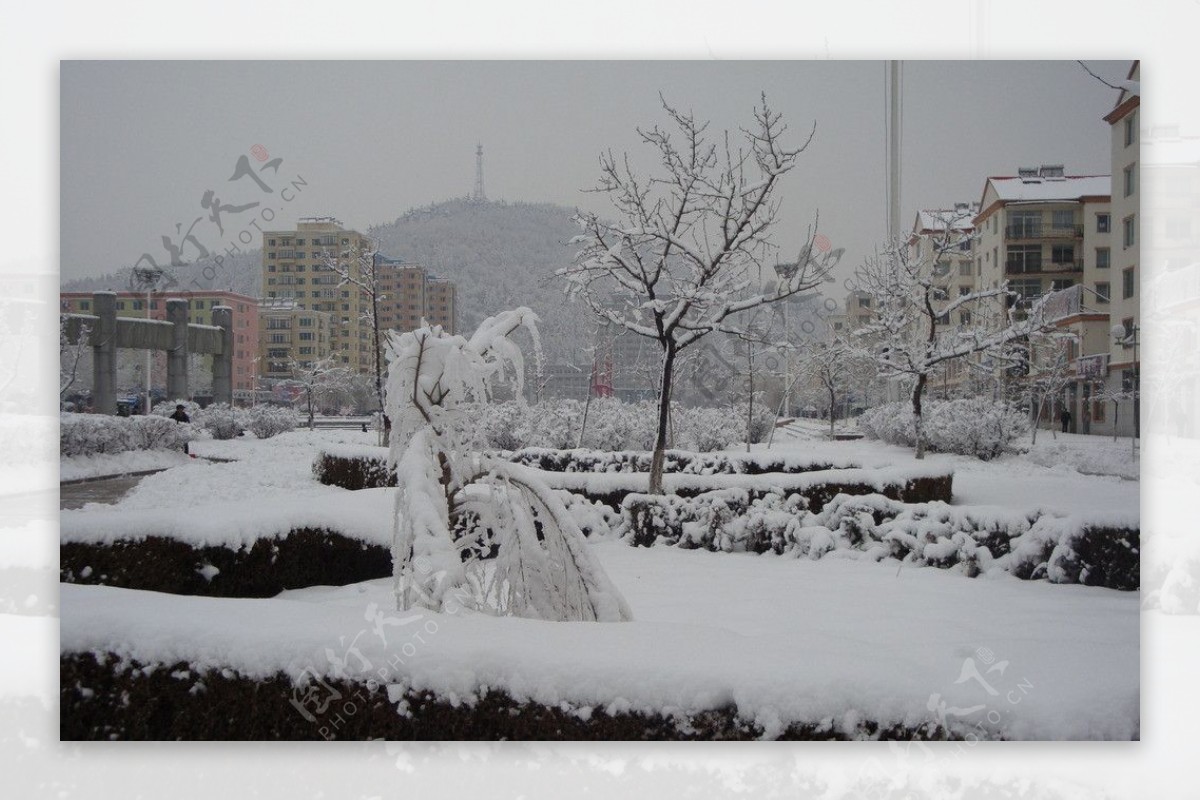 雪景图片