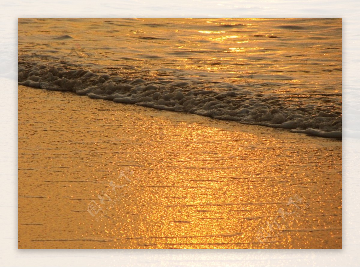 金色的海滩图片