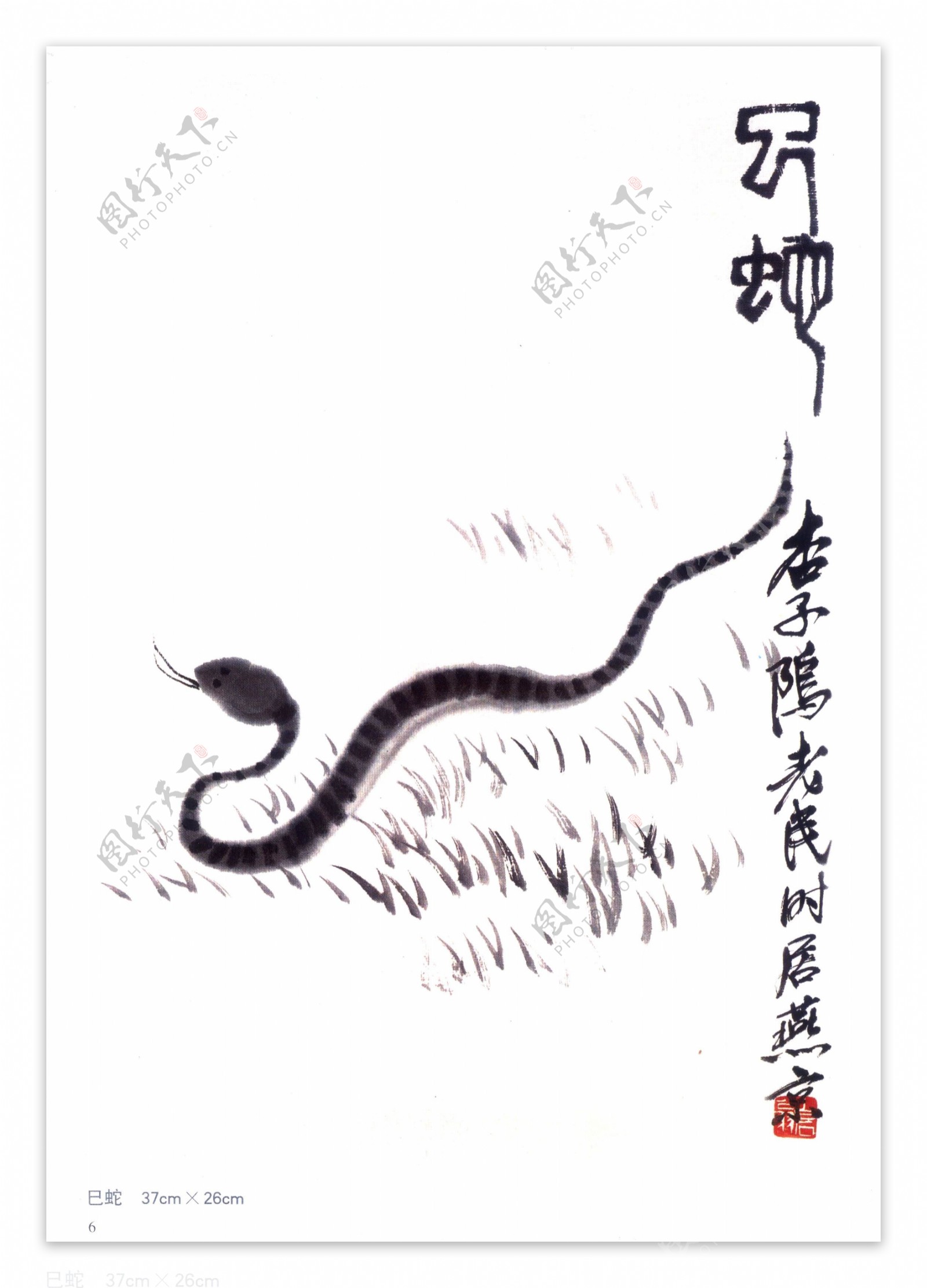 齐白石十二生肖巳蛇图片