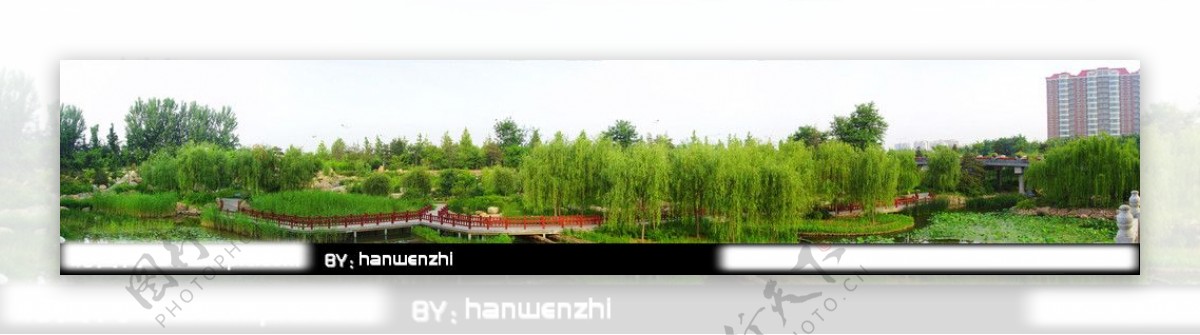 潍坊市植物园景观图片