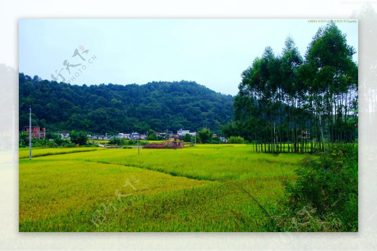 山水风景田园风光图片