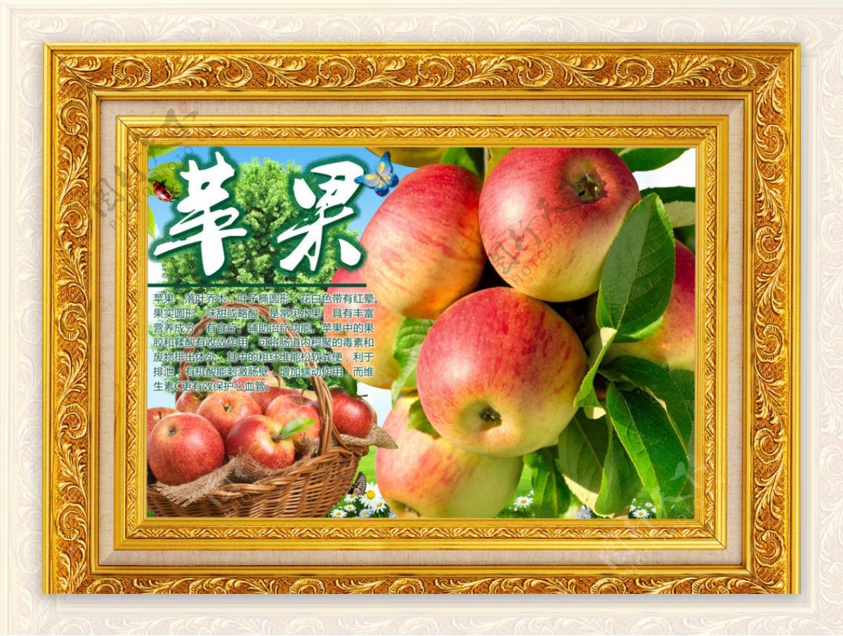 水果风景之苹果图片