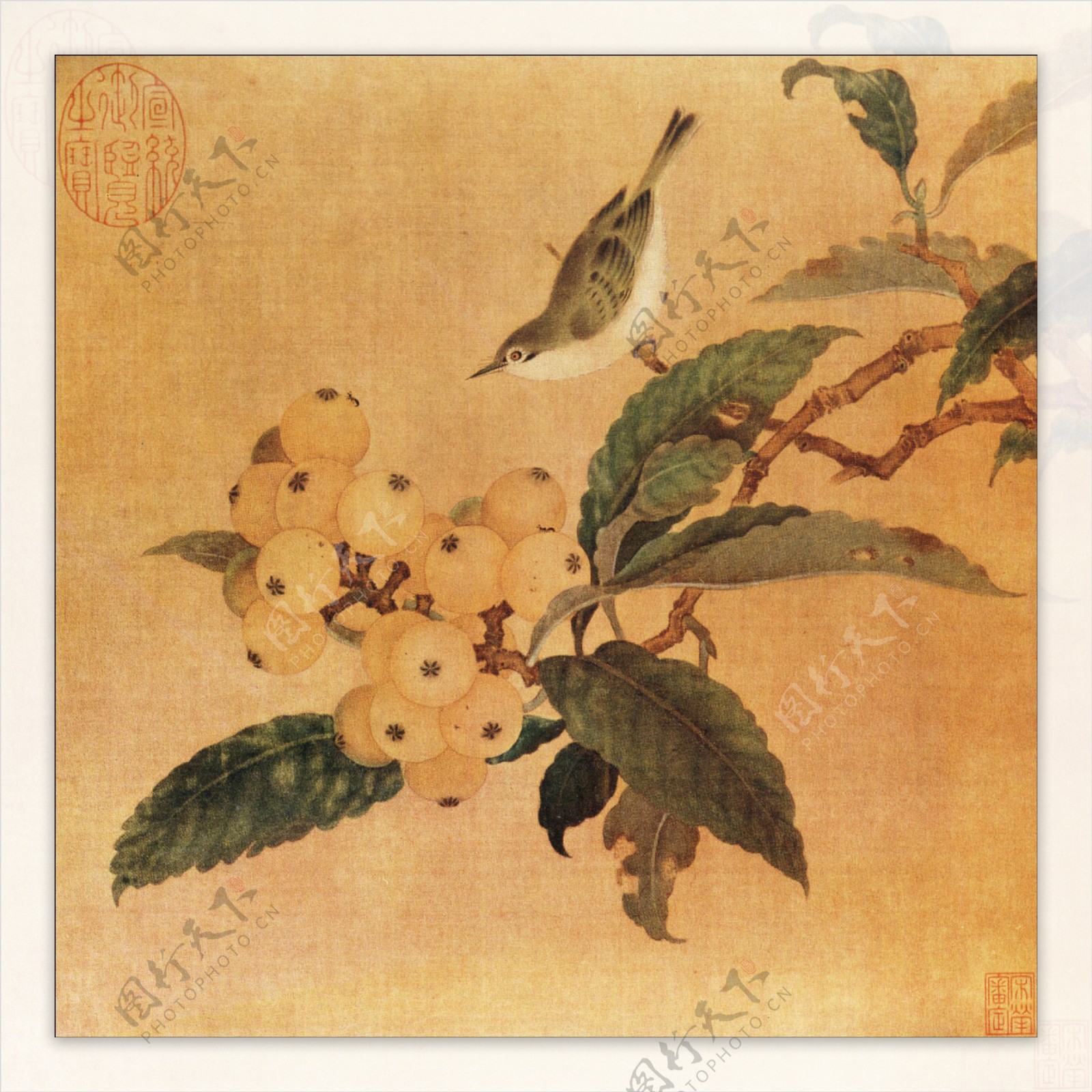 南宋林椿枇杷山鸟图页图片