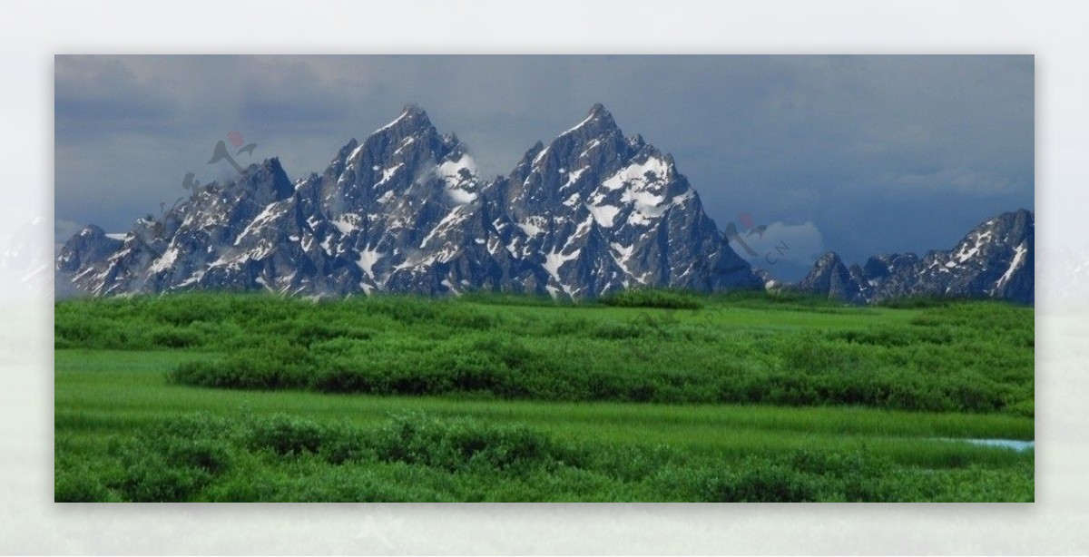 草地雪山图片