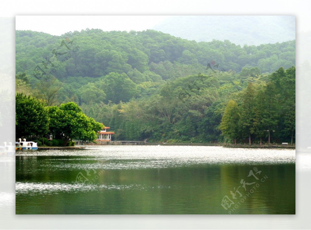仙湖公园图片