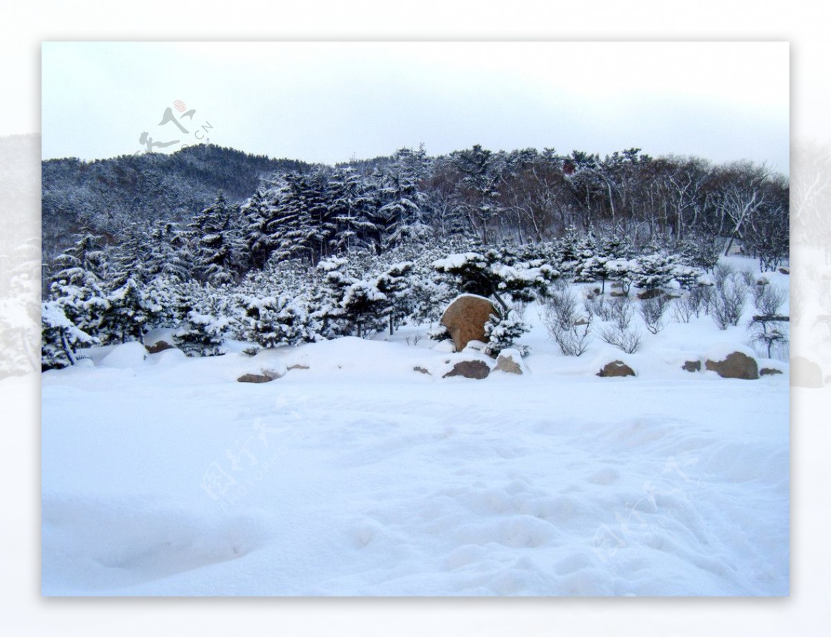 雪景图片