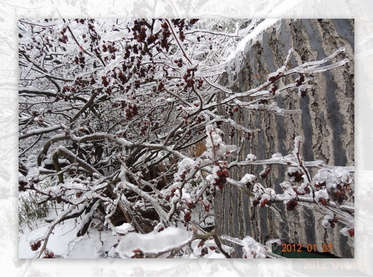 雪景图片