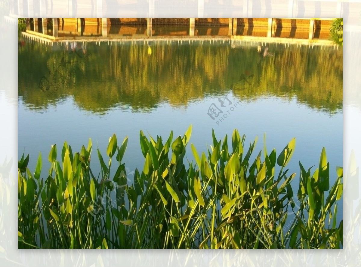 济南大明湖蓝天湖水风景高清图片下载-正版图片500356747-摄图网