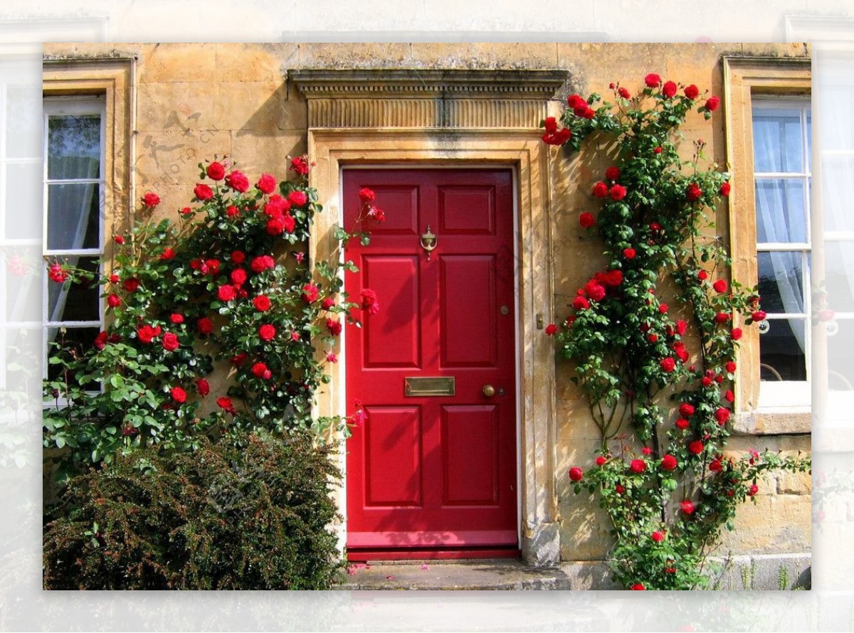 小红花与红色的门图片