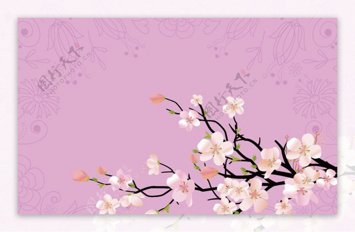 樱花花纹图片