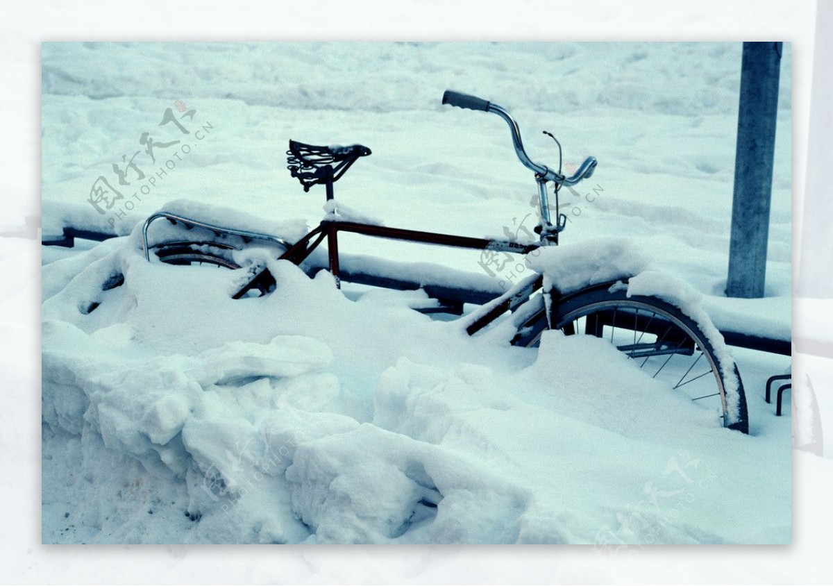 雪里的自行车图片