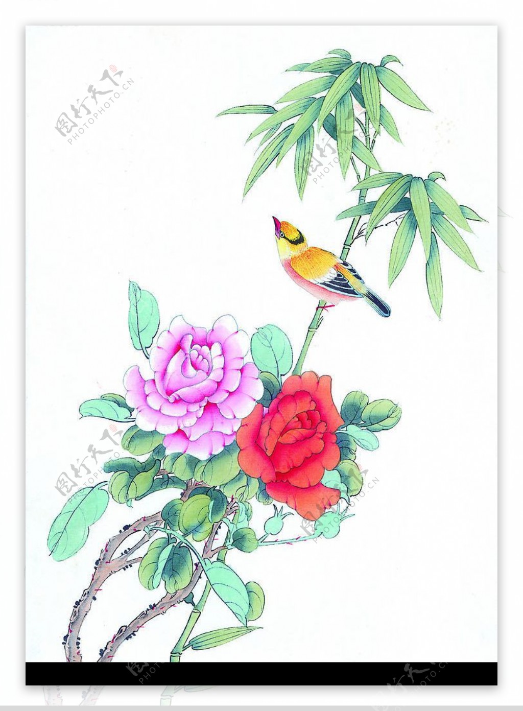水墨花卉鸟类图图片