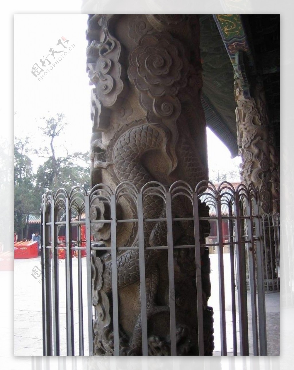 山东曲阜孔庙大成殿的龙柱图片