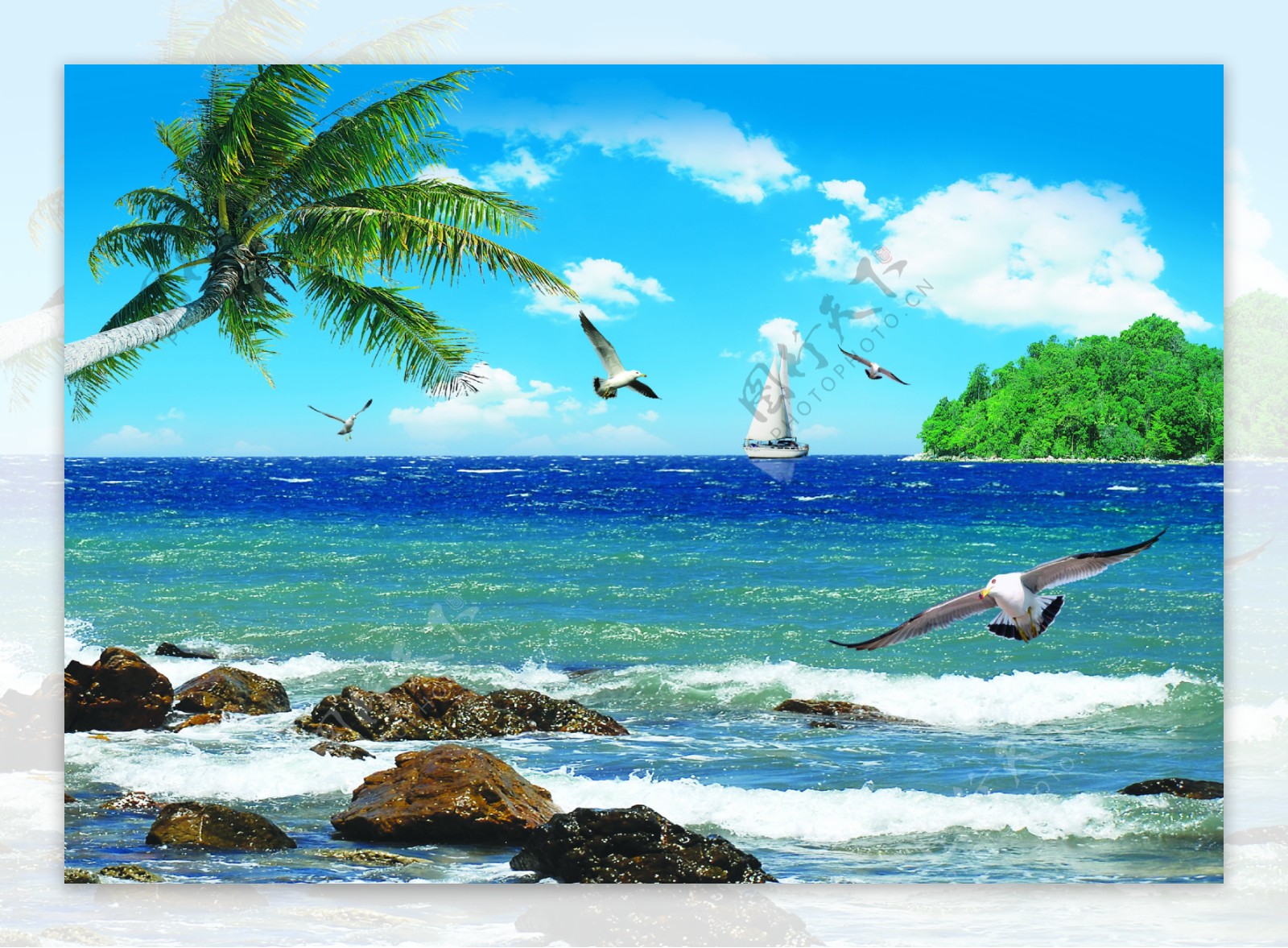 湛蓝海天椰树原创图片