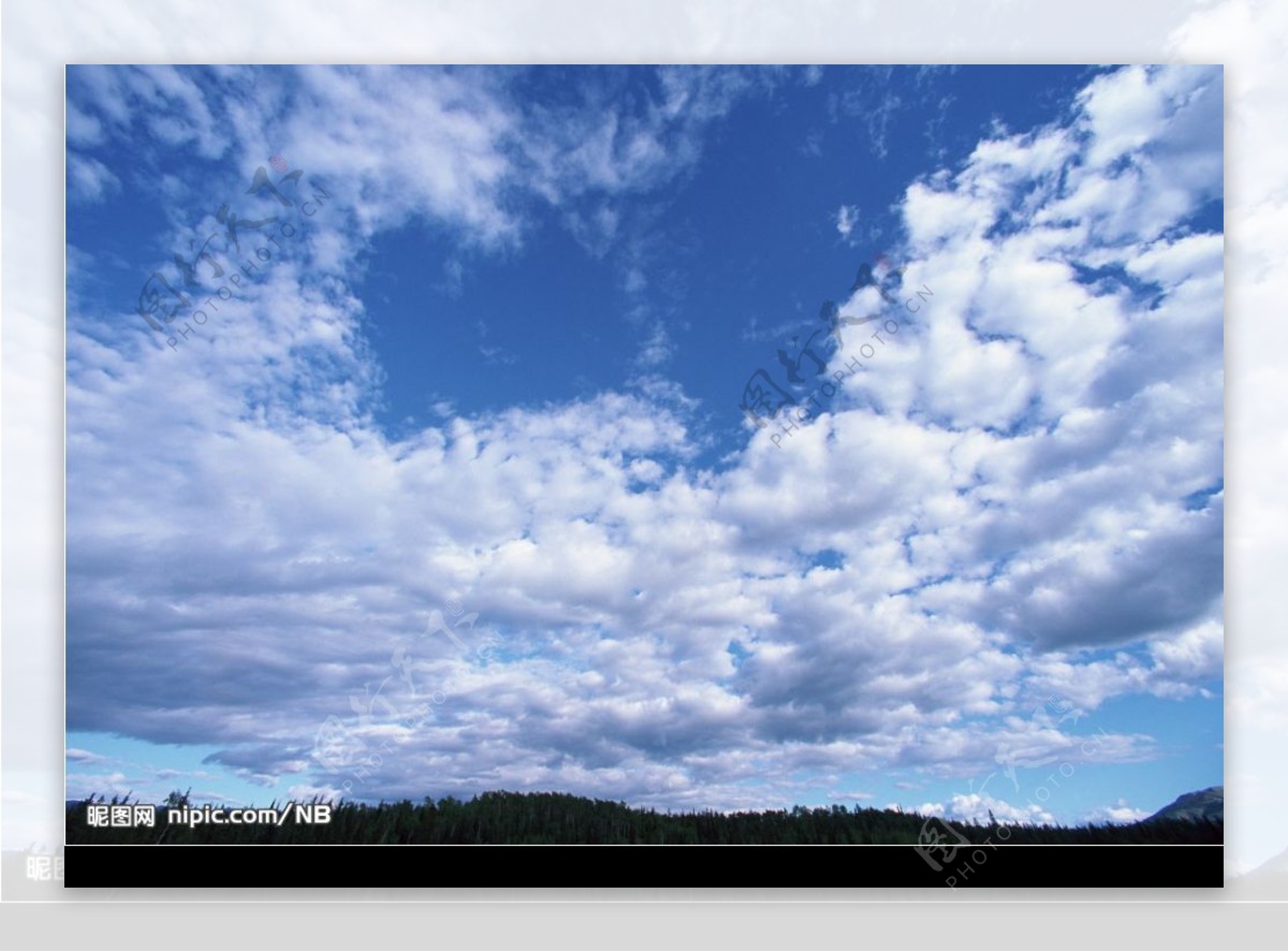 蓝天白云树林图片