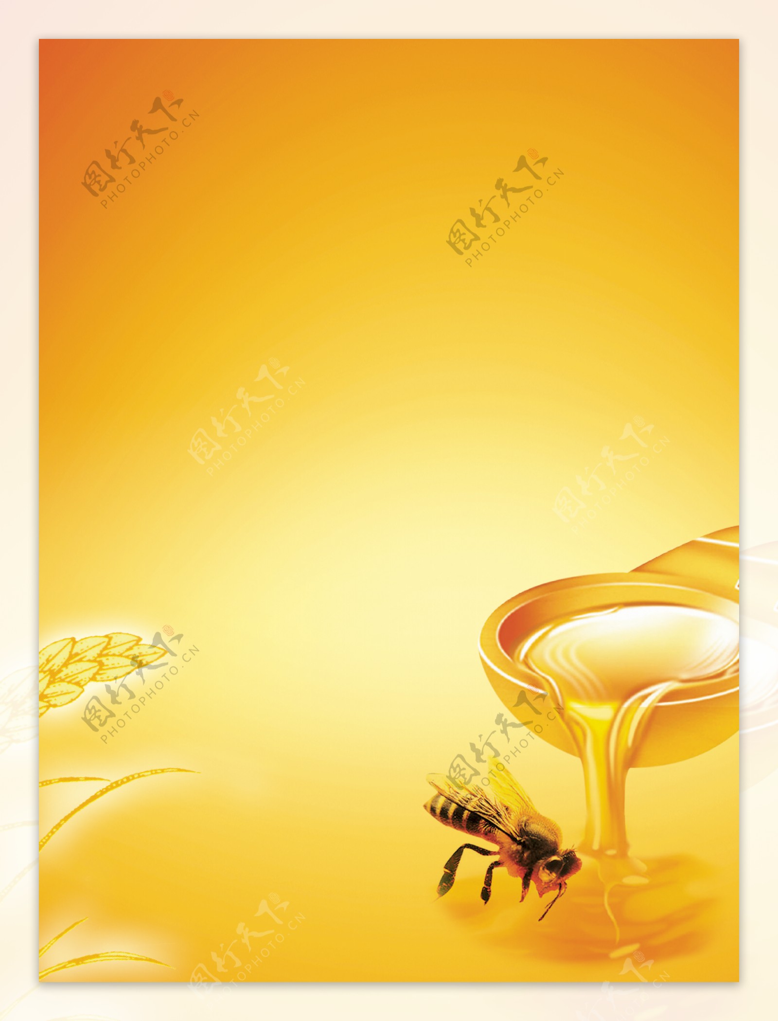 蜂蜜底图图片