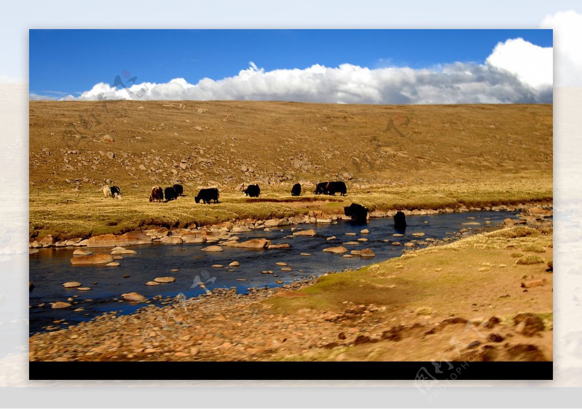 西藏風光图片
